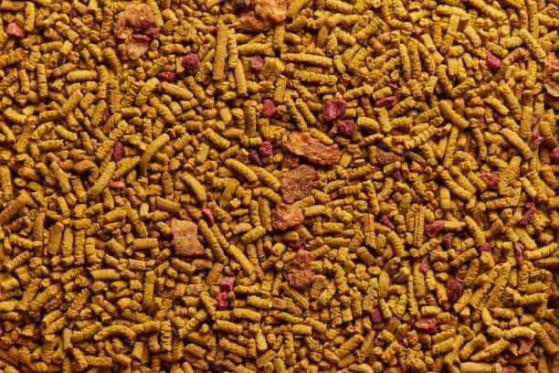 تصویر 3 از قیمت مکمل های خوراک دام + خرید باور نکردنی